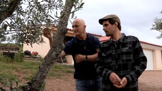 Richard Kägi begutachtet die Oliven von Bauer Daniel Martins
