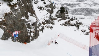 Das Bild zeigt den felisgen Hundschopf und ein Skifahrer, der in der Luft schwebt. 