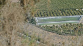 Wasserreservoir in einer Avocado-Plantage Wasserreservoir in einer Avocado-Plantage