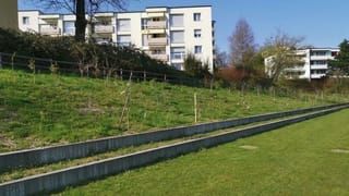 Wildobstgarten St Gallen Wildobstgarten St Gallen