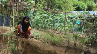 Mädchen auf einem Gemüsebeet in Bangladesch. 