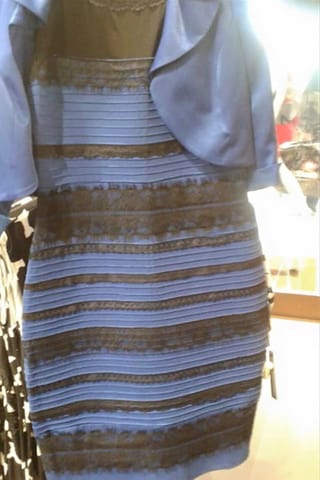 Das Kleid, das ganze Büros entzweit. Und was sehen Sie so? 