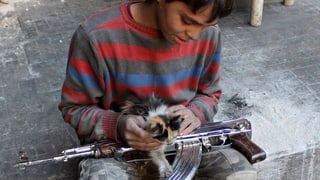 Ein Junge mit einem Sturmgewehr auf den Knien streichelt eine Katze.