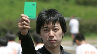 Die Greencard. 
