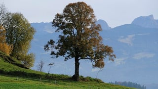 Ins Inventar sollen schöne oder kulturhistorisch wertvolle Landschaften, wie zum Beispiel die Gantrischregion. 