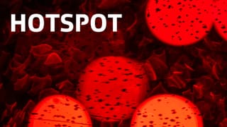  Die wichtige Rolle der Daten im Wahlkampf 