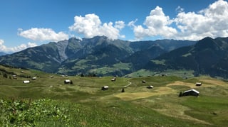 Auf einem grünen Hang stehen weit auseinander kleine Häuser.