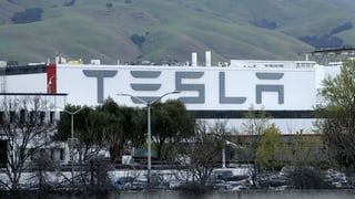 Tesla-Fabrik in Fremont/Kalifornien.