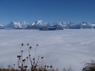 Nebelmeer, man sieht das Kandertal und das Mittelland vom Gipfel des Niesen aus.