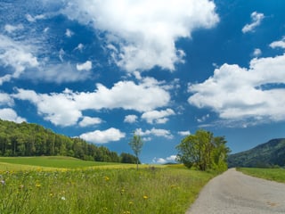 Sonniges Sommerwetter mit Schönwetterwolken in Turbenthal/ZH.