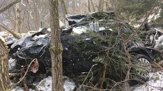 Zerstörtes Auto im Wald.