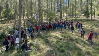 Menschen stehen in einem Wald und blicken auf eine Leinwand. Menschen stehen in einem Wald und blicken auf eine Leinwand.