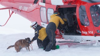 Zwei Retter und ein Lawinenhund vor dem Helikopter Zwei Retter und ein Lawinenhund vor dem Helikopter