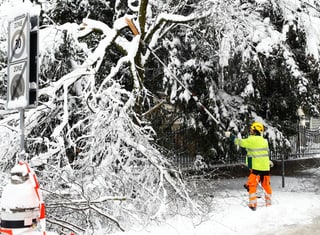 Zu sehen Bäume voller Schnee und Arbeiter in Zürich.