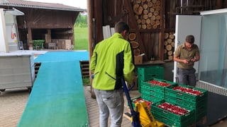 Markus Oettli und einer seiner Mitarbeitenden beladen die Lieferwägen. Markus Oettli und einer seiner Mitarbeitenden beladen die Lieferwägen.