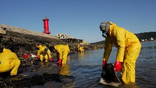 Arbeiter säubern das Meer vom Öl.