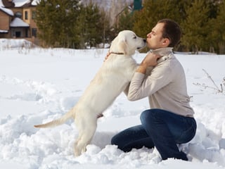 Ein Mann spielt mit seinem Hund im Schnee.