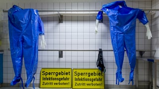 Blaue Schutzanzüge gegen Ebola
