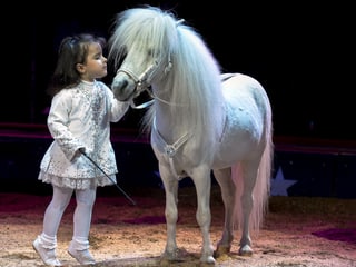 Kleines Mädchen mit Pony