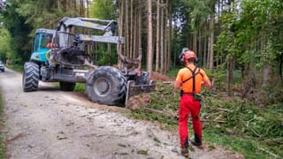 Mann in oranger Kleidung steht vor Bagger im Wald. Mann in oranger Kleidung steht vor Bagger im Wald.