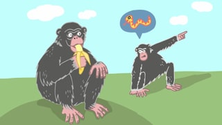 Ein Affe isst eine Banane. Ein anderer zeigt nach rechts und weist auf eine Schlange hin.
