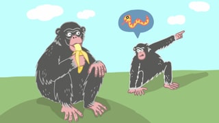 Ein Affe isst eine Banane. Ein anderer zeigt nach rechts und weist auf eine Schlange hin. Ein Affe isst eine Banane. Ein anderer zeigt nach rechts und weist auf eine Schlange hin.