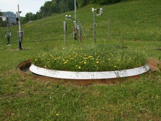 Ein Lysimeter am Messfeld der ETH (Eidgenösische technischen Hochschule). Ein zylindrischer Behälter mit der Bodenstruktur gefühlt und darauf der natürliche Bewuchs der Umgebung. (Gras und Blumen). Er ist Im Boden versenkt. Ein Lysimeter am Messfeld der ETH (Eidgenösische technischen Hochschule). Ein zylindrischer Behälter mit der Bodenstruktur gefühlt und darauf der natürliche Bewuchs der Umgebung. (Gras und Blumen). Er ist Im Boden versenkt.