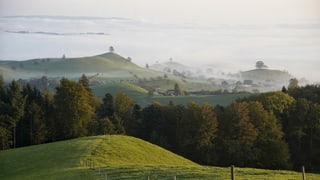Nebelschwaden ziehen um die Drumlin-Landschaft bei Menzingen/ZG.