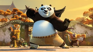 Kung Fu Panda mit seinen treusten Gefährten. 