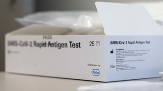 Tests. Tests.
