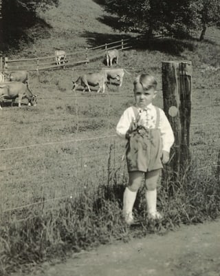 Schwarz-Weiss-Fotografie mit einem kleinen Bub, der am Zaun vor einer Wiese mit Kühen steht.