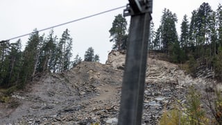 Das Felssturzgebiet 