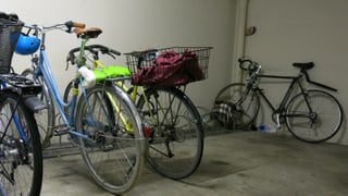 Blick in einen Velokeller. Man sieht vier Fahrräder. 