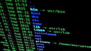 Ein Computer-Terminal, das eine Ordnerstruktur zeigt