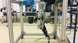 Das Exoskelett Das Exoskelett