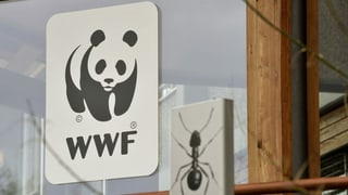 Logo WWF. Logo WWF.