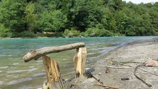 Landart-Objekt an der Aare im Eichholz.