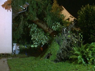 Ein entwurzelter Baum ist auf ein Hausdach gefallen.