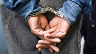 «Neue Gesetze nicht nötig»