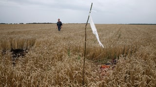 Absturzstelle eines Flugzeuges in einem Kornfeld in der Ukraine.