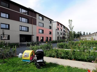 Siedlungshäusern mit rosa, braunen und weissen Fasaden. Im Vordergrund Gärten und ein kinderwagen.