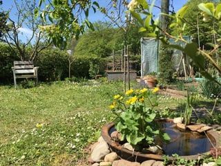 Schrebergarten Schrebergarten