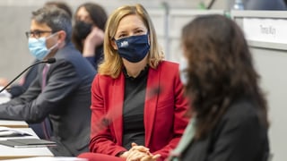 Esther Keller diskutiert im Regierungsrat.