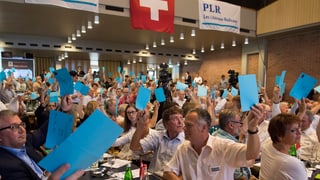 FDP-Delegierte stimmen mit erhobener blauer Stimmkarte ab.