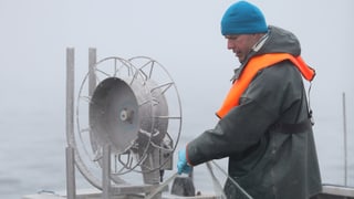 Reto Leuch aus Landschlacht/TG fischt in dritter Generation. Er ist der Präsident der Schweizerischen Berufsfischer auf dem Bodensee. Reto Leuch aus Landschlacht/TG fischt in dritter Generation. Er ist der Präsident der Schweizerischen Berufsfischer auf dem Bodensee.
