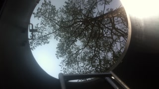 Blick aus einer Röhre in eine Baumkrone.