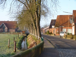 Sicht auf eine Strasse, die durch ein Dorf führt, auf der anderen Seite eine Allee.