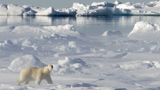 «Aufbruch in die Arktis»