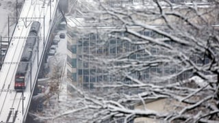 Zug im Schnee 