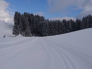 Langlaufloipe in verschneiter Landschaft.